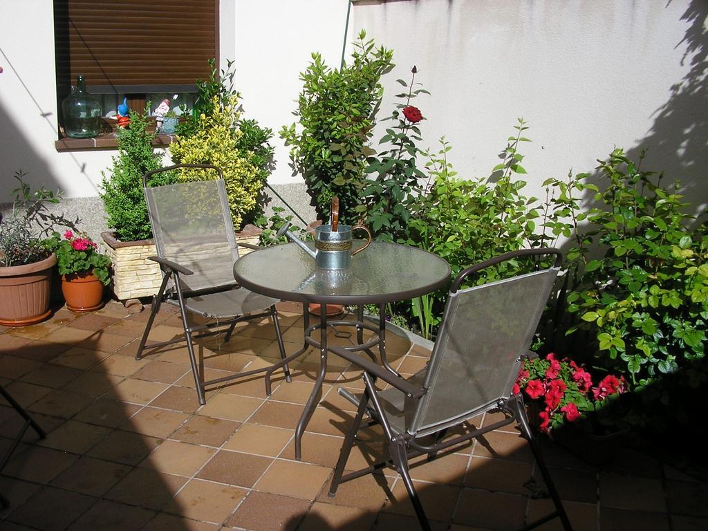 Casa De La Paca Bed and Breakfast Coca Exteriör bild
